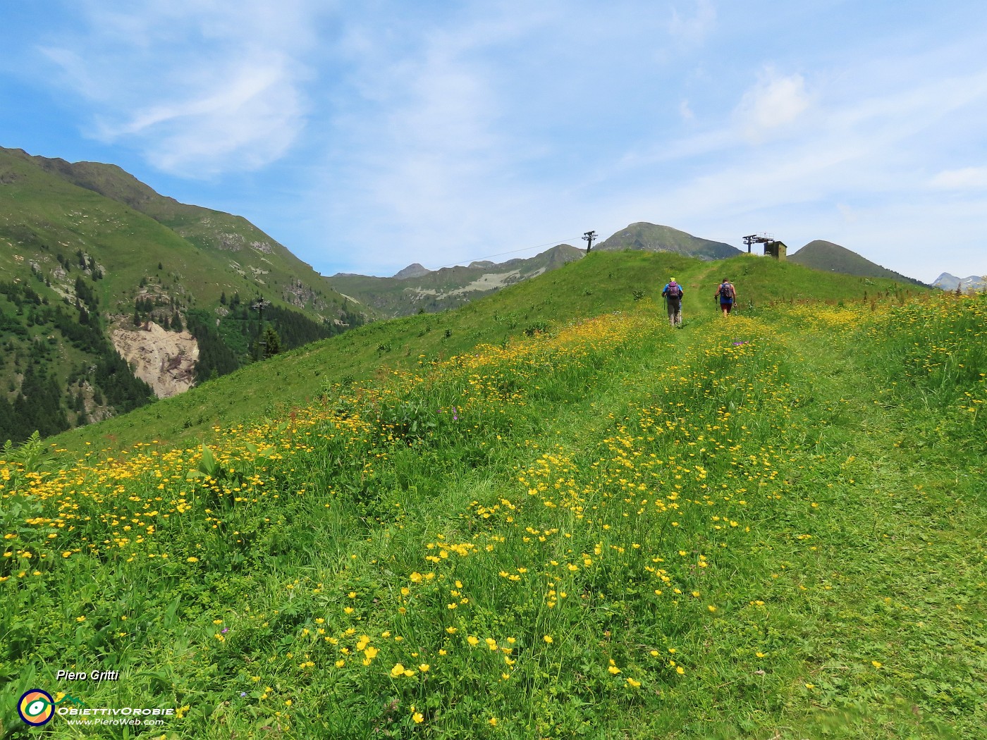 62 Salitella nel verde fiorito alla Cima Capriolo  (1810 m).JPG